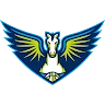 Dallas Wings Logo